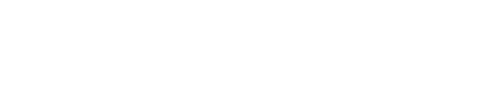 northeast power logo