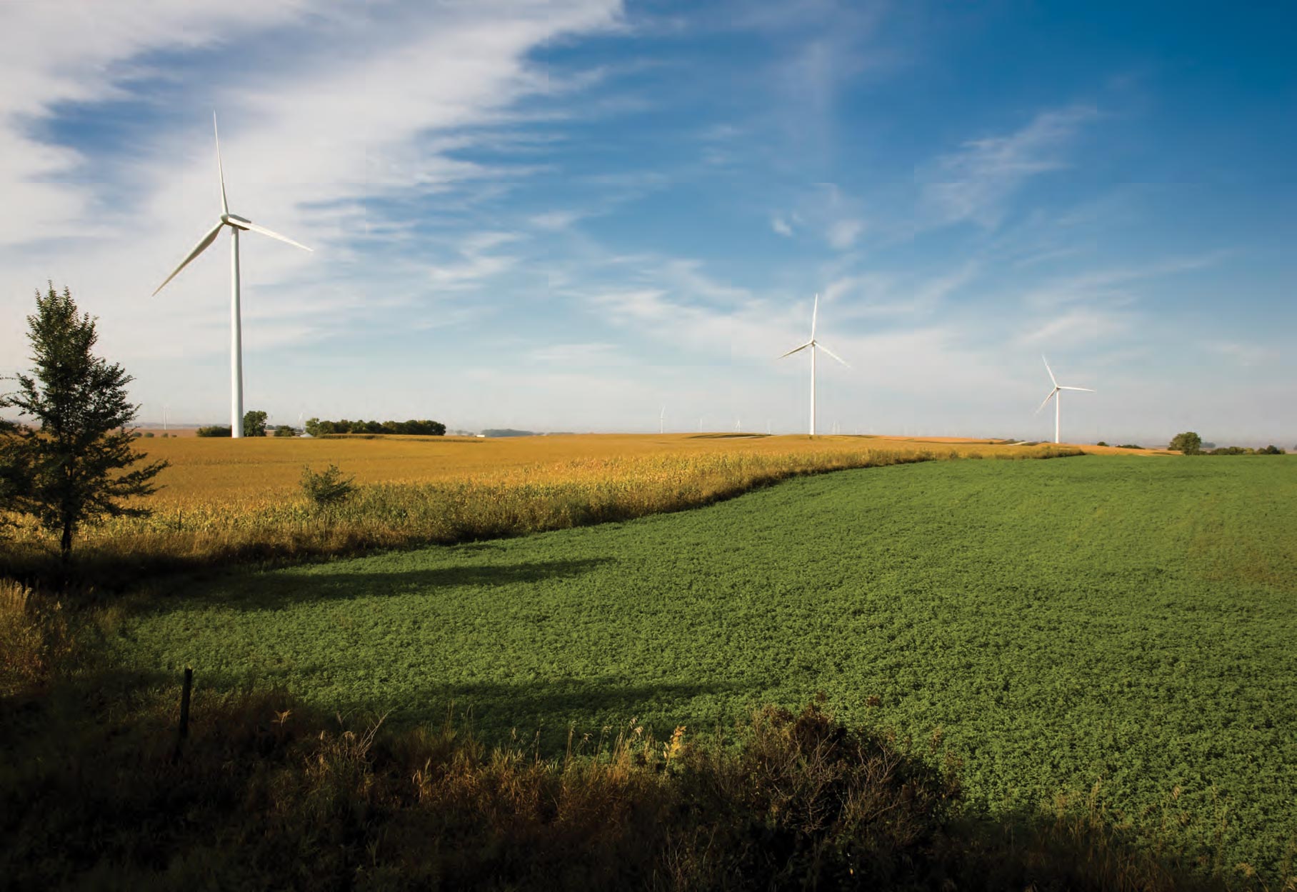 Wind Power