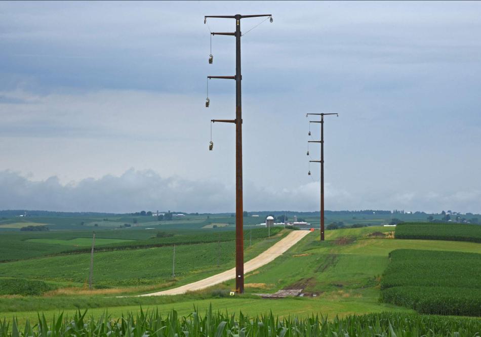Cardinal Hickory Creek