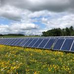 Sauk Solar